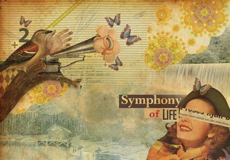 Celebrating the Symphony: Embracing the Art and Wonder of Daily Existence